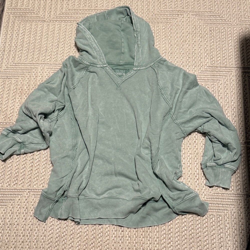 American Eagle Outfitters Sage Green Hoodie Sweater